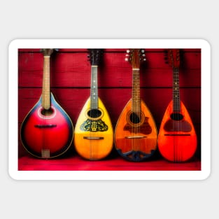 Four Old Mandolins Sticker